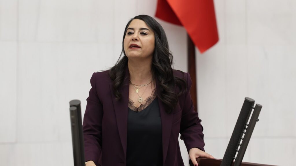 DEM Partili Dilan Ayan: Barış ve demokratik toplum yasaları çıkarılmalı