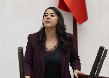 DEM Partili Dilan Ayan: Barış ve demokratik toplum yasaları çıkarılmalı