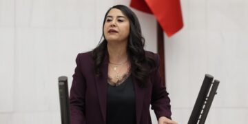 DEM Partili Dilan Ayan: Barış ve demokratik toplum yasaları çıkarılmalı