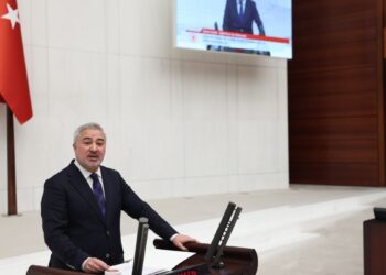 DEM Partili Uçar: Norm dışı devlet hala devrede