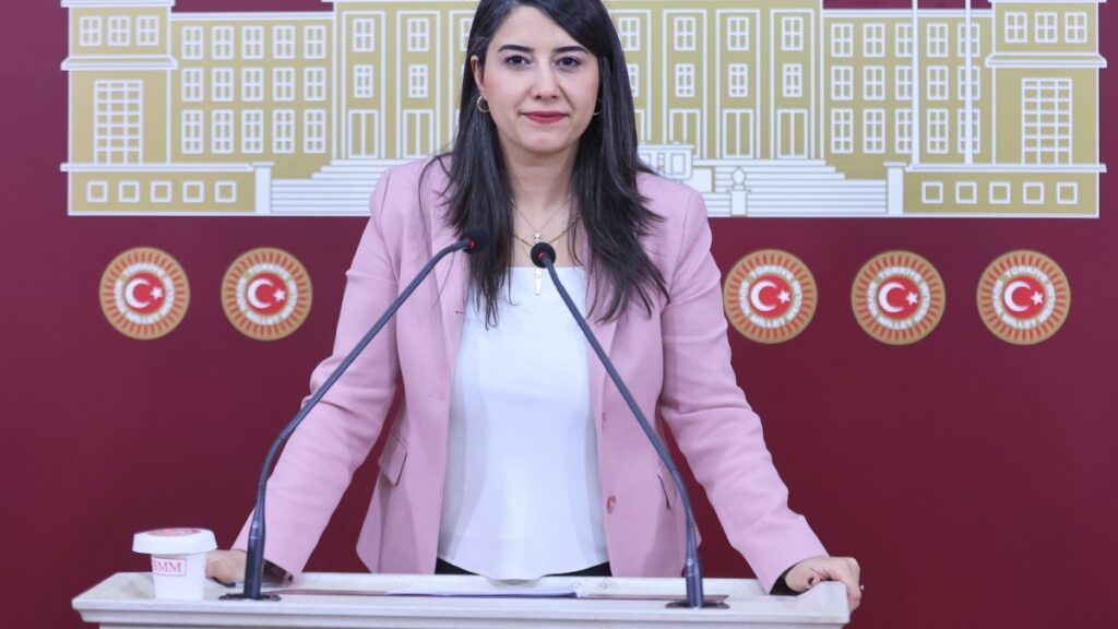 Dilan Ayan: Silivri'deki 3 bin kişilik duruşma salonunun amacı nedir?