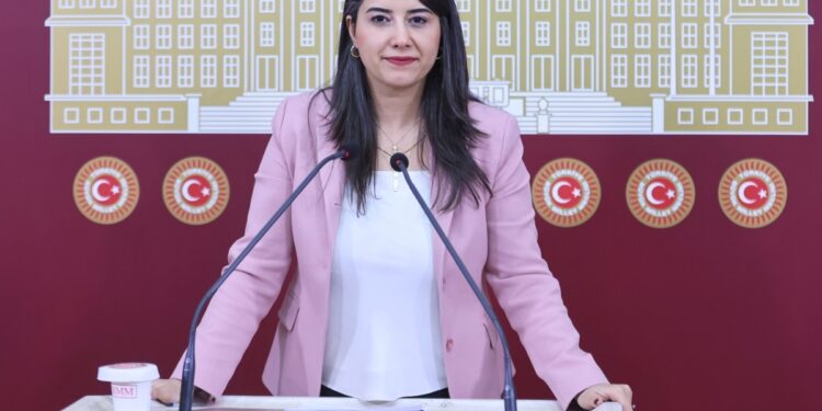 Dilan Ayan: Silivri'deki 3 bin kişilik duruşma salonunun amacı nedir?