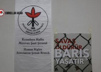 İHD Şirnex  Eşbaşkanı: Barışın toplumsallaşması için cesur adımlar atılmalı