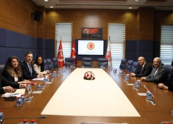 İmralı Heyeti ile TİP görüşmesi başladı