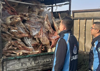 Mide Bulandıran Görüntü... Kasadan Kilolarca Bozuk Et Çıktı!