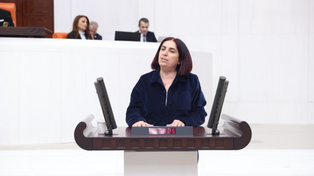 Sevilay Çelenk: Türkiye, Suriye Kürtlerinin kazanımlarını korumalı