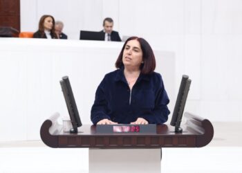 Sevilay Çelenk: Türkiye, Suriye Kürtlerinin kazanımlarını korumalı