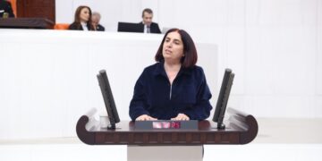 Sevilay Çelenk: Türkiye, Suriye Kürtlerinin kazanımlarını korumalı