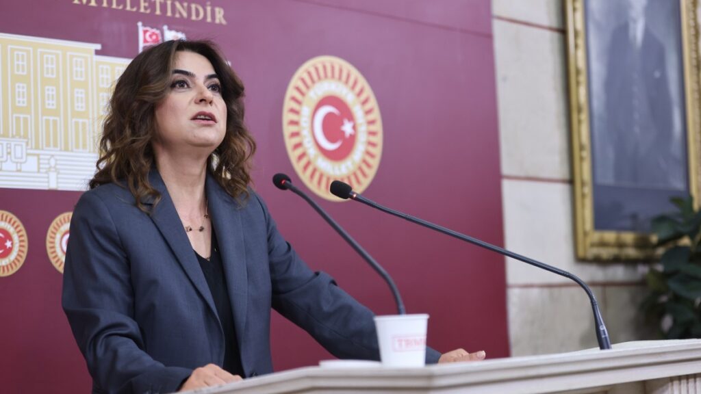 'Silahların susması başlangıçtır, hedef pozitif barış'