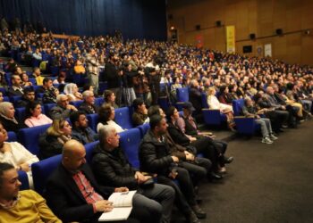 Sinemaseverler: Festivalller sayesinde Kürtçe filmlerle buluşabildik