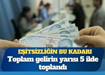 Eşitsizliğin bu kadarı: Toplam gelirin yarısı 5 ilde toplandı