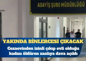 Yakında binlercesi çıkacak: Cezaevinden izinli çıkıp evli olduğu kadını öldüren zanlıya dava açıldı