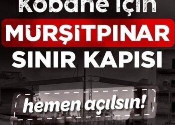 16 barodan çağrı: Mürşitpınar Sınır Kapısı açılsın