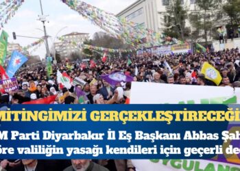 DEM Parti Diyarbakır İl Eş Başkanı Abbas Şahin: Mitingimizi gerçekleştireceğiz