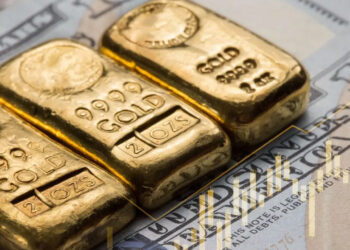 Euroyu da Doları da Solladı... İşte 2025'te Yatırımcısına En Çok Kazandıran Şampiyon