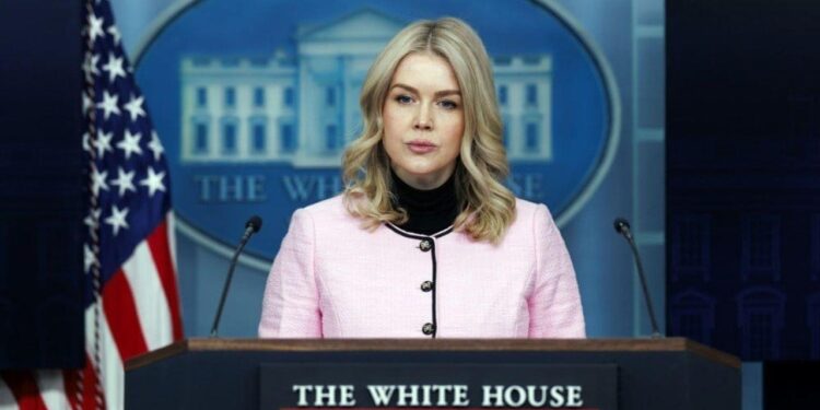 Grönland geriliminde yeni iddia: Trump satın almak istiyor