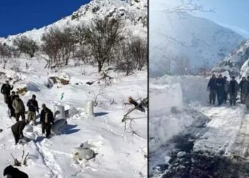 Hakkari’de Çığ Düştü! 120 Hayvan Öldü
