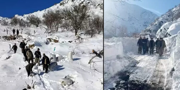 Hakkari’de Çığ Düştü! 120 Hayvan Öldü