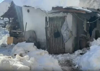 Kahreden Olay: 80 Yaşındaki Kadın Bahçede Donmuş Halde Ölü Bulundu