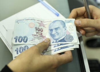 Ocak Ayı Doğum Yardımı Ödemeleri Hesaplarda