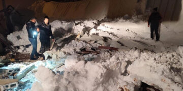 Siirt’te Kar Yağışı Sonrası Facia! 3 Ahır Çöktü, Çok Sayıda Hayvan Öldü