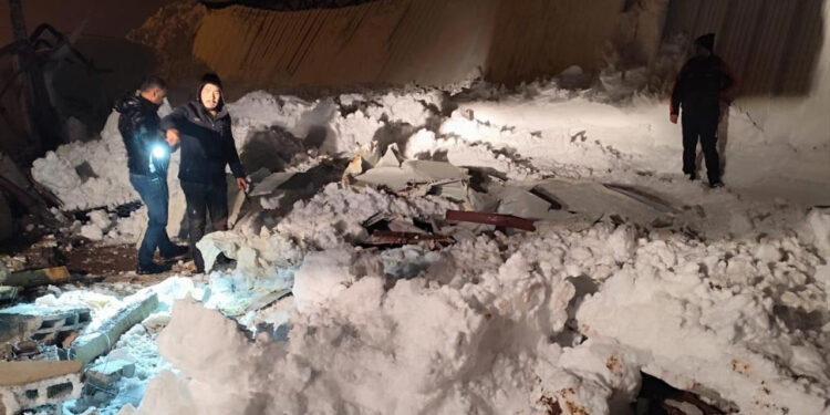 Siirt’te Kar Yağışı Sonrası Facia! 3 Ahır Çöktü, Çok Sayıda Hayvan Öldü