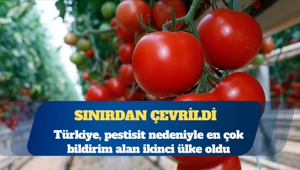 Sınırdan çevrildi: Türkiye, pestisit nedeniyle en çok bildirim alan ikinci ülke oldu