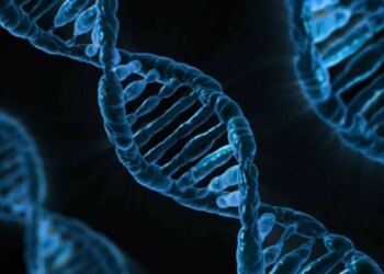 Yapay zeka modeli “AlphaGenome” DNA’nın bilinmeyenlerini keşfedebilir