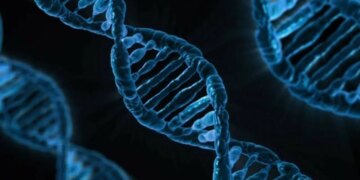 Yapay zeka modeli “AlphaGenome” DNA’nın bilinmeyenlerini keşfedebilir