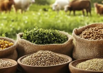 ‘Organik’ gıda tuzağı: Etiket var, sertifika yok