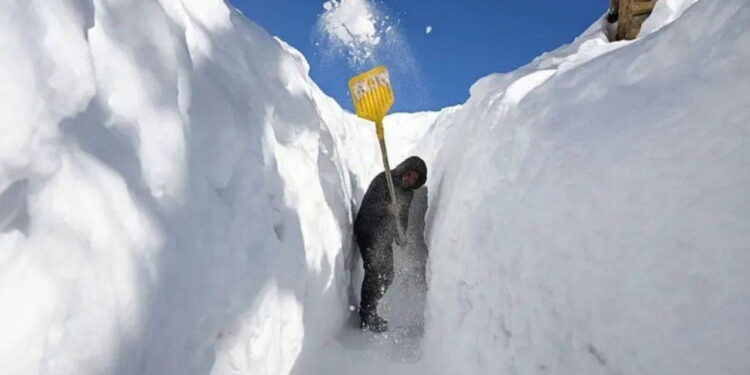 Isınan dünyada neden bu kadar çok kar yağıyor?