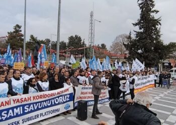 Pirsûs’tan seslendiler: Mürşitpınar Sınır Kapısı açılsın