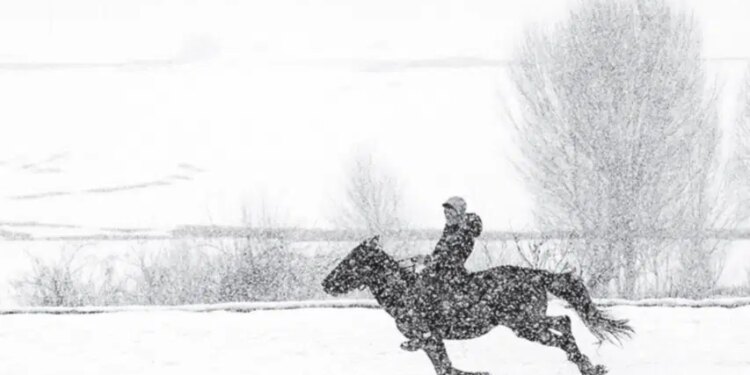 Belgesel fotoğrafçı Hasan Cem Araptarlı’nın ‘Kar: Bir Hikâyenin İlk Cümlesi’ sergisi açıldı