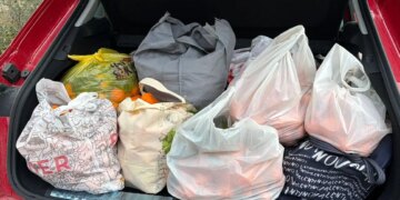 Artvin’de hasat bereketi: Poşet yetmedi, araçların içi doldu taştı