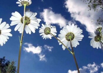 İkinci cemre düştü mü? İkinci cemre suya ne zaman düşecek?