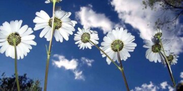 İkinci cemre düştü mü? İkinci cemre suya ne zaman düşecek?