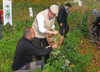 Köyden kente göçü tersine çevirecek proje: 10 dönümde 1,5 milyon kazandırıyor