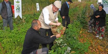 Köyden kente göçü tersine çevirecek proje: 10 dönümde 1,5 milyon kazandırıyor