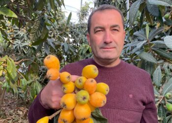 Mersin’den erken hasat müjdesi: Kilosu 1500 TL! Alıcısı Dubai’de….