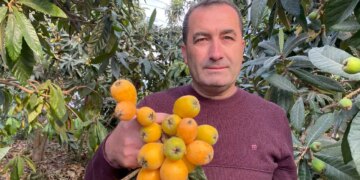Mersin’den erken hasat müjdesi: Kilosu 1500 TL! Alıcısı Dubai’de….
