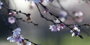 Cemre havaya ne zaman düşecek, 2. cemre nereye düşer?