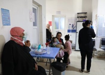 SES yöneticisi: Kobanê toplumsal bir mesele