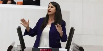 DEM Parti’den önerge: Epstein belgelerinde Türkiye bağlantıları araştırılsın