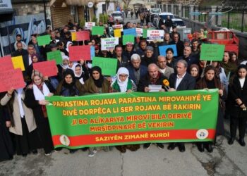 Dil kurumlarından çağrı: Mürşitpınar Sınır Kapısı bir an önce açılmalı