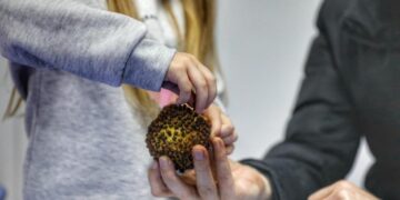 Zarokistan kreşlerinde ‘Sêva Mêxekrêj’ etkinliği