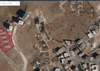 Kayyımın taşınmazları satmasına tepki: Yasal yollara başvuracağız