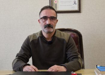 Wan’da yüzlerce genç dolandırıcıların ağına düştü: Yüksek cezalarla karşı karşıyalar