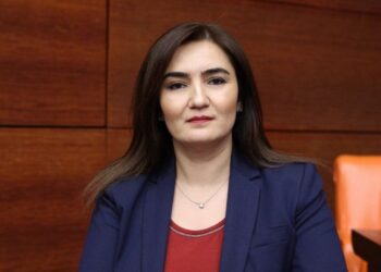 Epstein dosyası ve kayıp çocuklar: Meclis araştırma yürütmeli