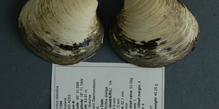 Bilim dünyasını sarsan keşif: 507 yıl yaşadı, bulunduğu gün öldü