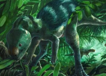 Bilim insanları tavuk büyüklüğünde bir dinozor keşfetti